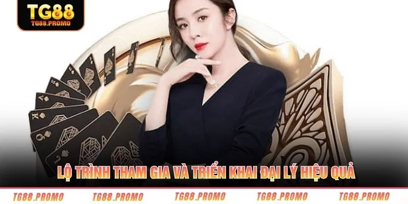 Lộ trình tham gia và triển khai đại lý hiệu quả