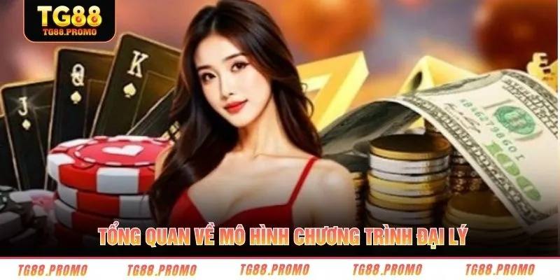 Tổng quan về mô hình chương trình đại lý